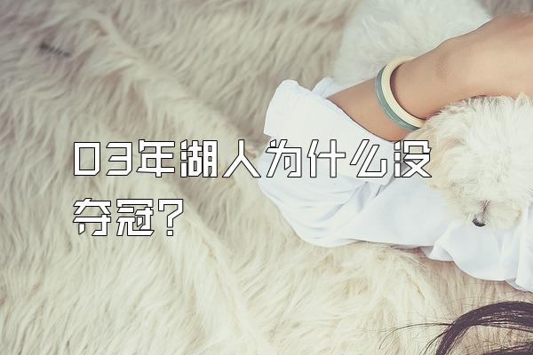 03年湖人为什么没夺冠？