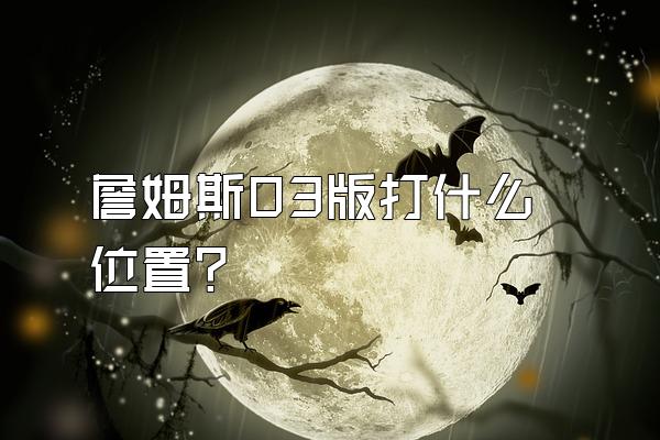 詹姆斯03版打什么位置？