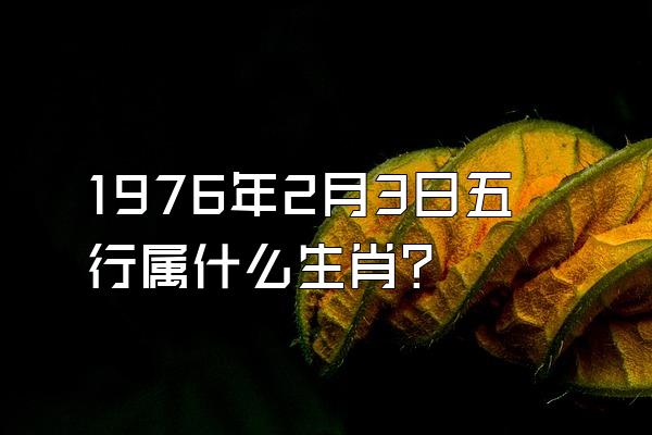 1976年2月3日五行属什么生肖？