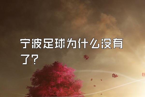 宁波足球为什么没有了？