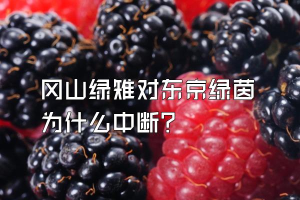 冈山绿雉对东京绿茵为什么中断？