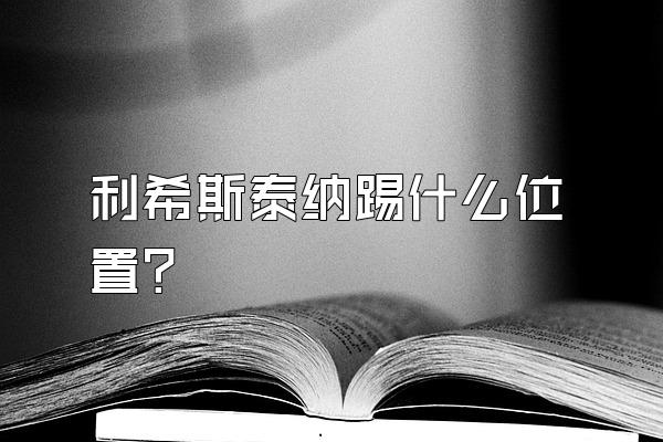 利希斯泰纳踢什么位置？